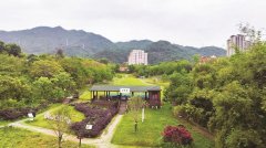 ~2个质量强国扶植领军企业